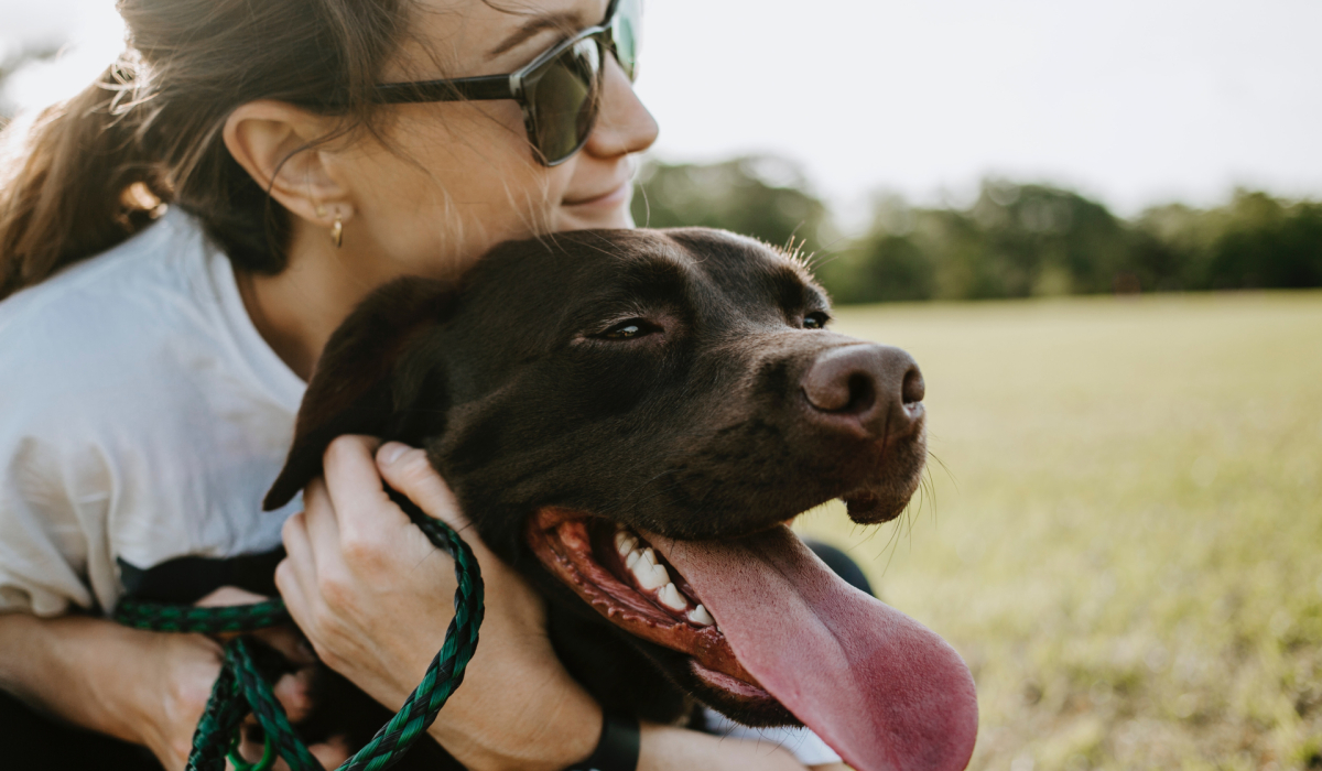 Vrouw met bruine labrador, dierenproducten | Hiiper, insights for growth