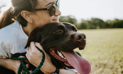 Vrouw met bruine labrador, dierenproducten | Hiiper, insights for growth